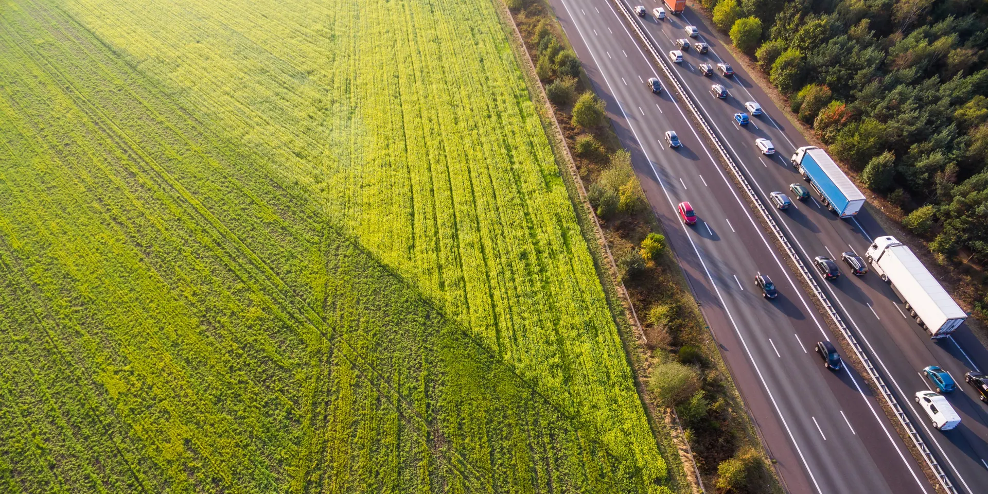 New insights into road safety